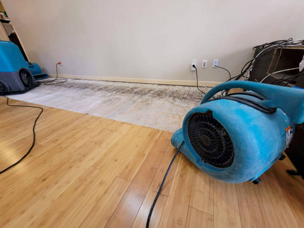 Professional Water Extraction technician working in Wild Rose, WI
